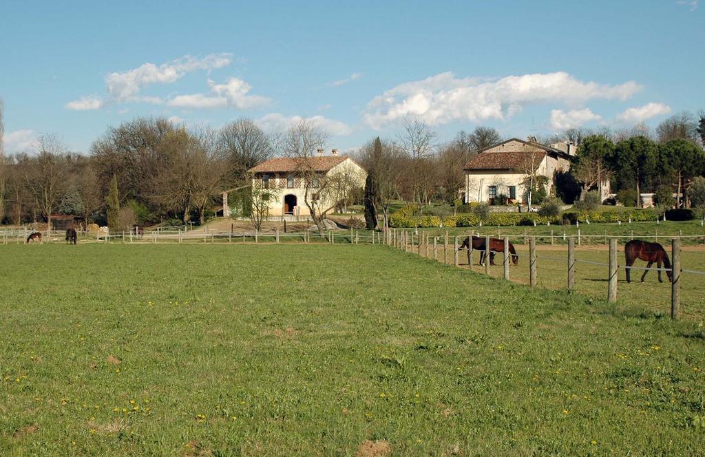 Agriturismo Trebisonda Country Resort Монцамбано Екстериор снимка